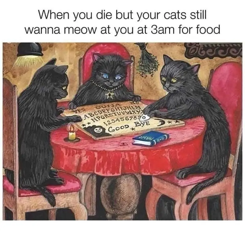 Three black cats sit at a red-clothed table, gathered around an ouija board with a lit candle and a book, appearing to…