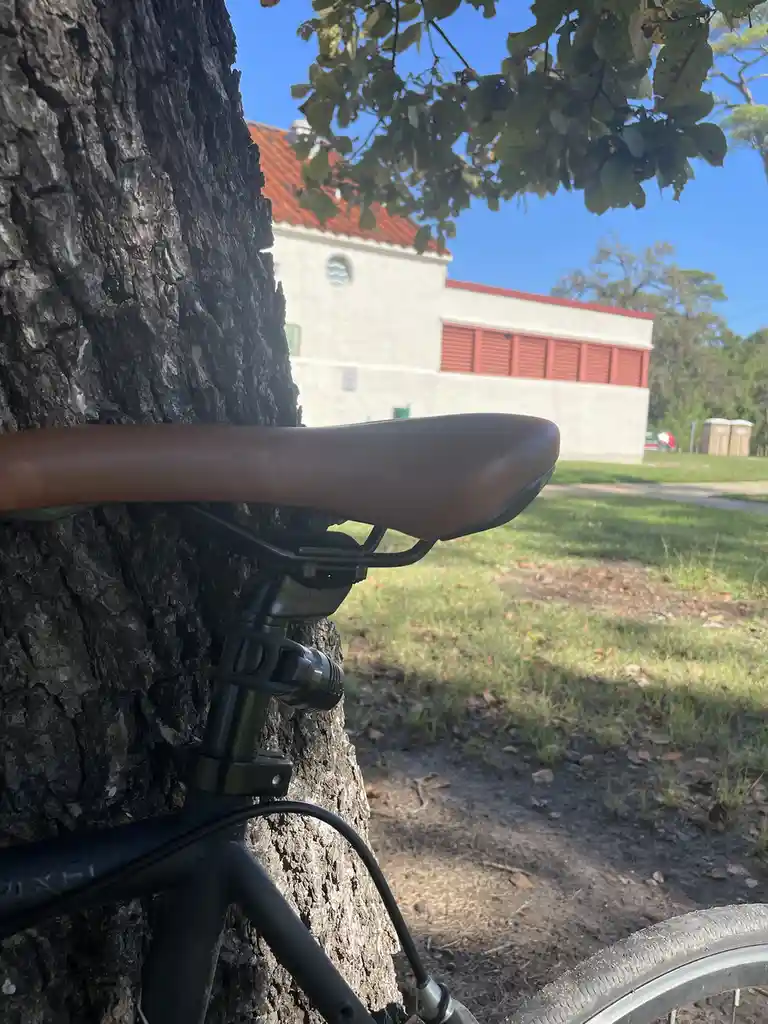 A close-up photo shows the brown leather saddle and black frame of a bicycle leaning against the rough bark of a tree. In…
