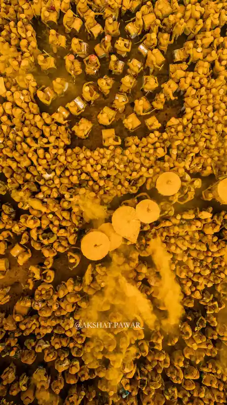 An aerial view shows a dense crowd of people covered in yellow powder, many holding drums and some holding large umbrellas…