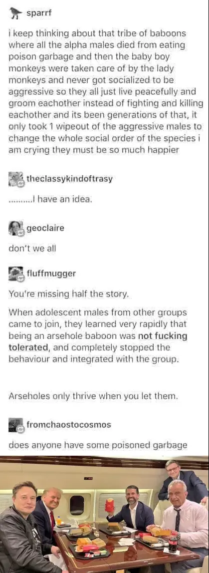 A screenshot of a social media thread where users discuss a hypothetical peaceful baboon society, followed by a reply that…