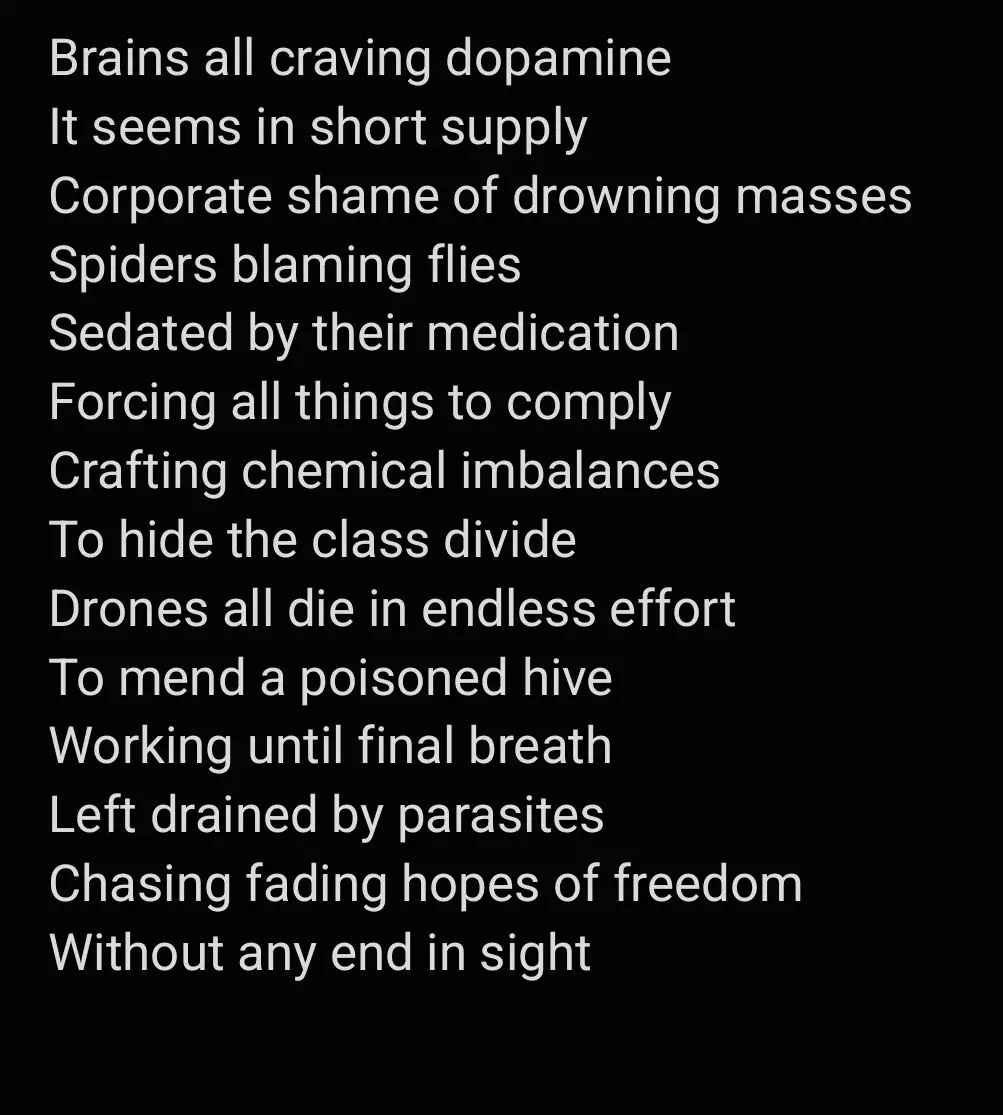 The image is a plain black background with white text arranged in a poem-like format. The text is a critique of societal…