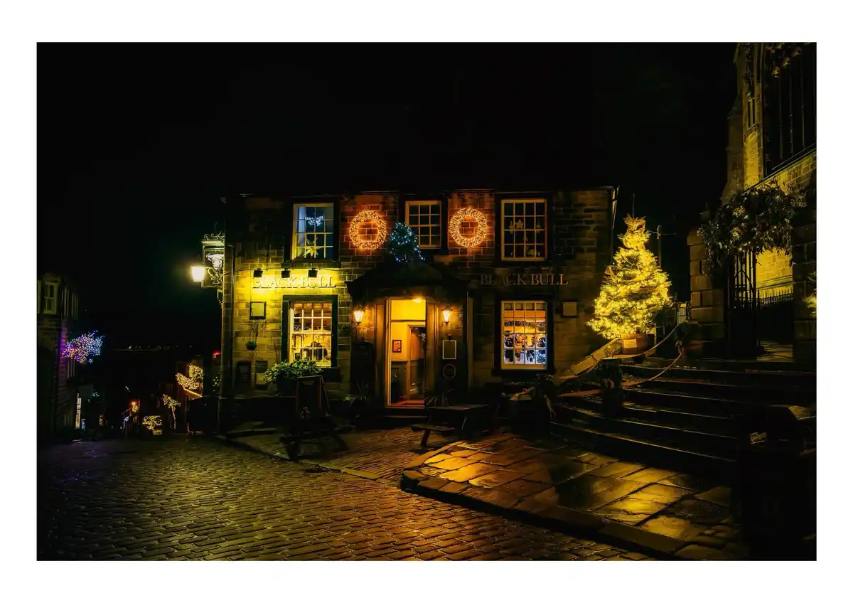 The Majestic Black Bull