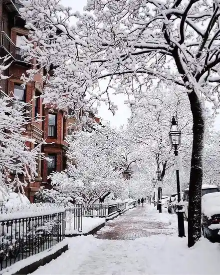 Do you enjoy snowy days or prefer the warmth?