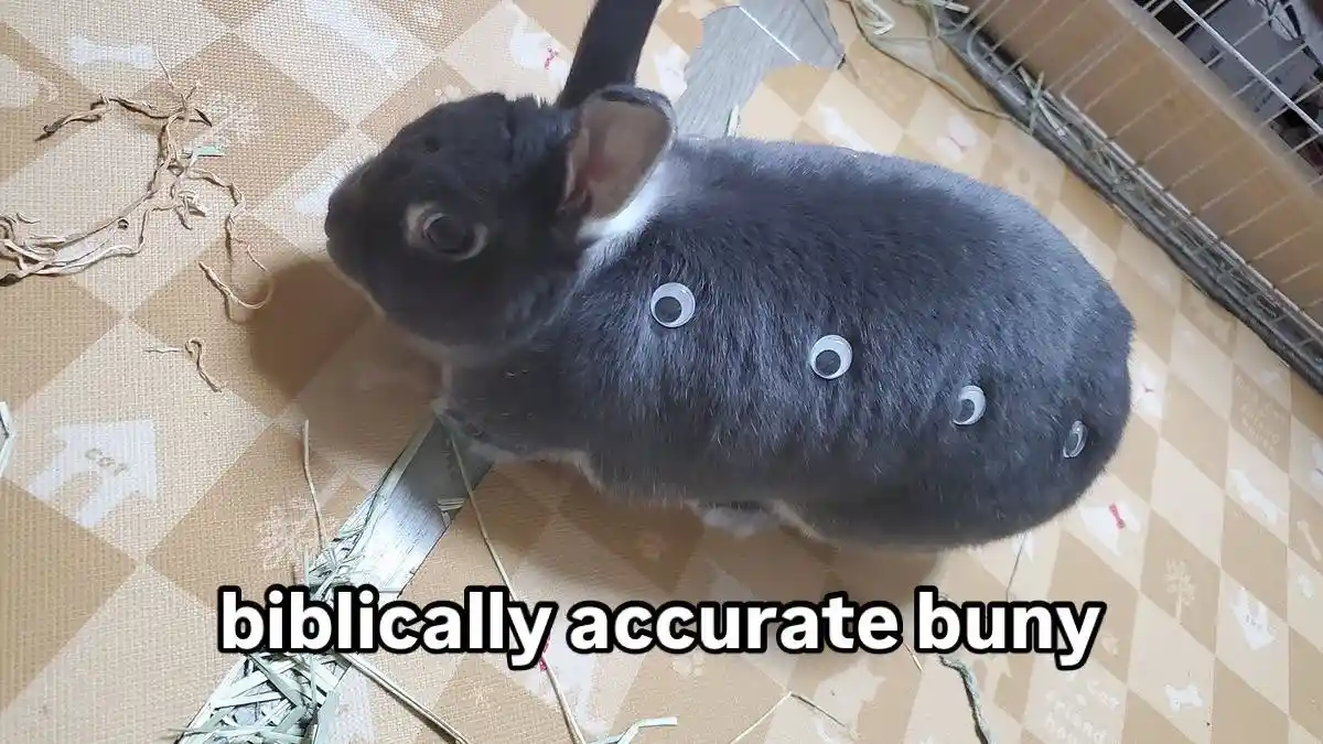 A gray rabbit with four googly eyes glued to its back sits on a patterned mat near a cage, with text overlaid reading…
