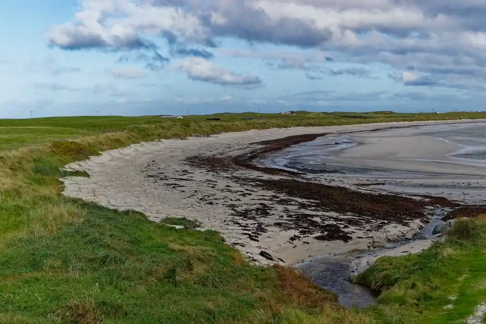 A wide, natural beach scene with wet sand, patches of dark seaweed, and grassy dunes under a partly cloudy sky. Overlaid…