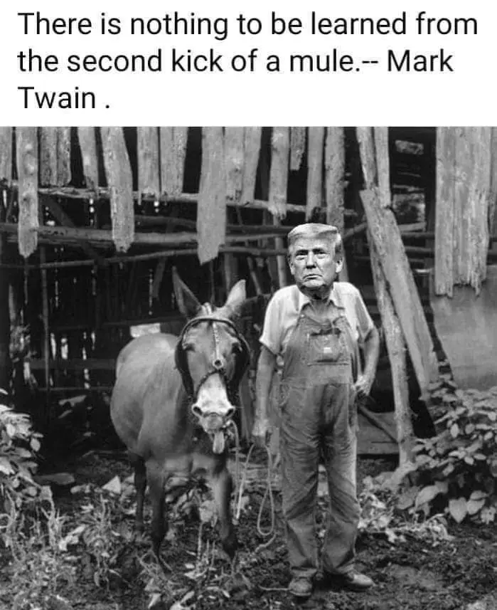 A black-and-white photo shows a man in overalls standing next to a mule in a rustic, wooded setting. The man's face has been…