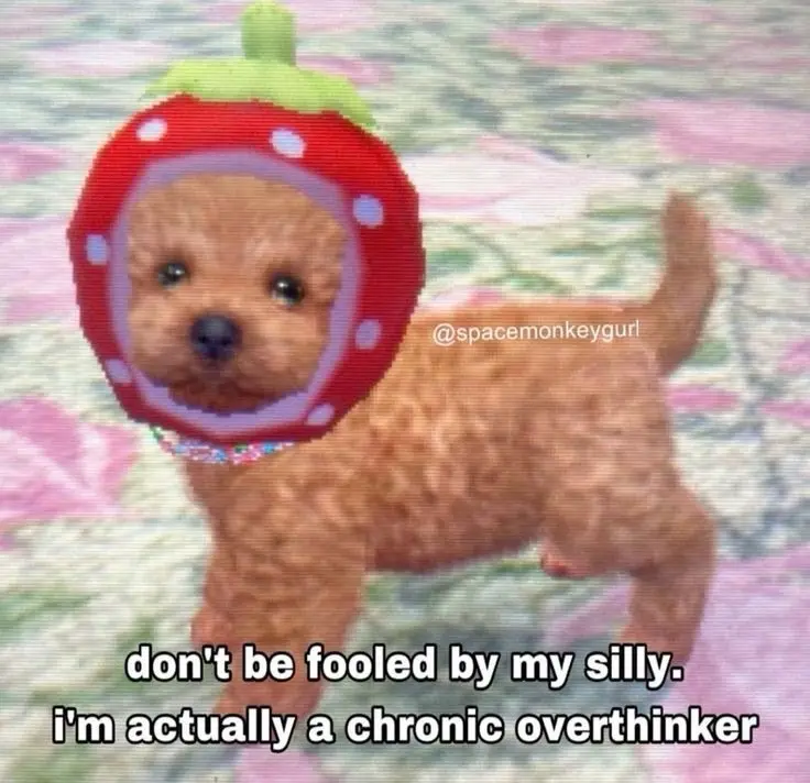 A small, fluffy brown puppy wearing a red strawberry-shaped costume with white dots and a green stem, standing on a…