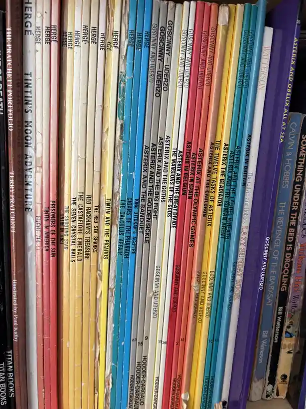 A close-up shot of a bookshelf filled with colorful, mostly European comic book series spines, including Tintin, Asterix…