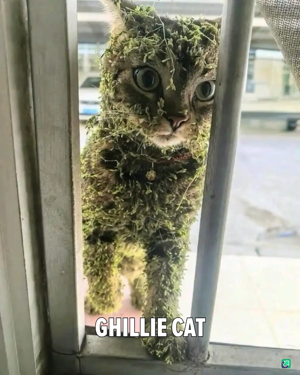 A tabby cat peers through a metal-barred window, its fur completely covered in green moss, making it look like a camouflaged…