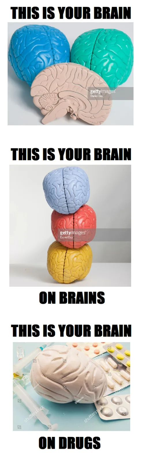 The meme shows three images: the first has three colorful brain models, the second shows three brains stacked, and the third…