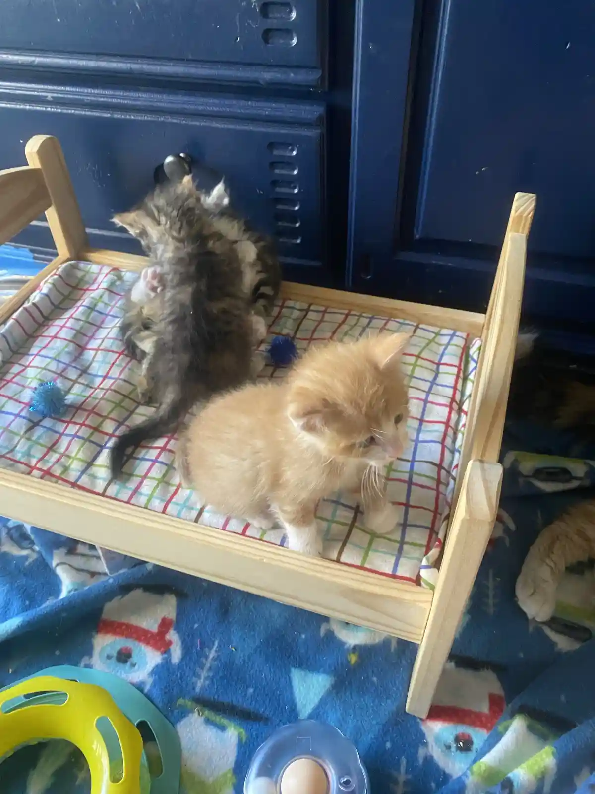 Two small kittens are on a miniature wooden bed with a colorful checkered blanket; one is lying on its back while the other…