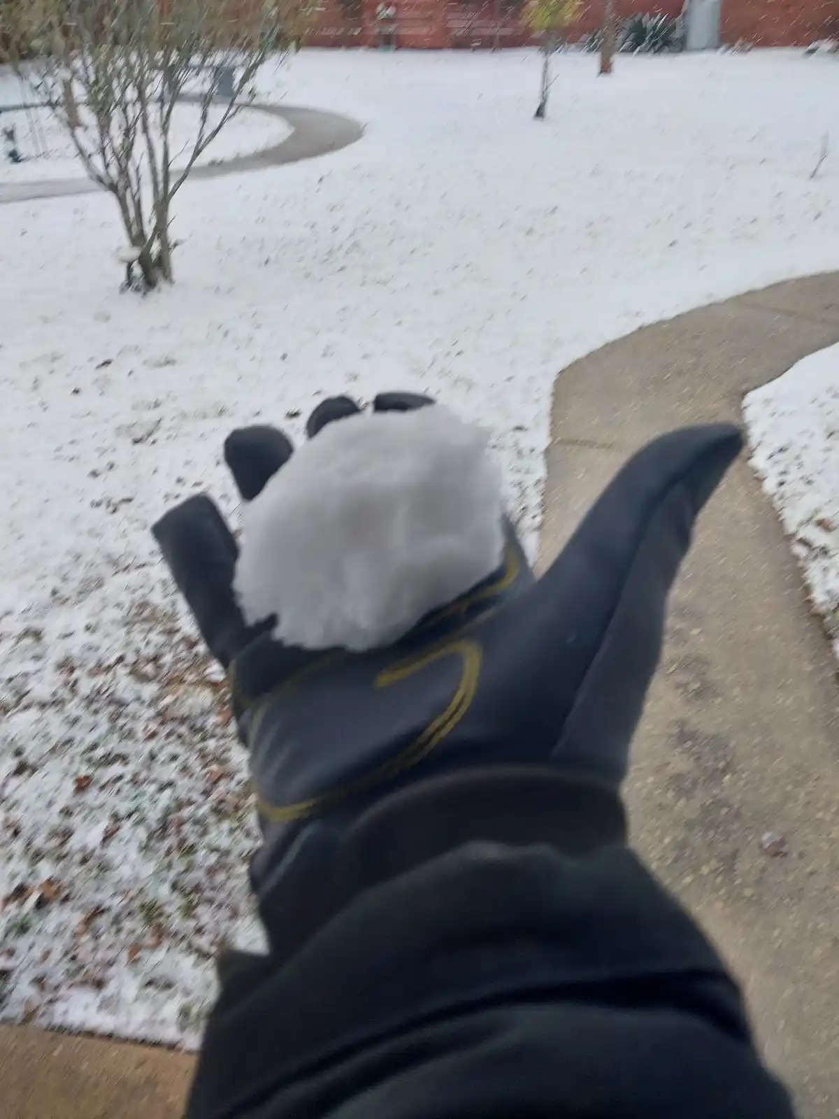 A first-person view shows a gloved hand holding a snowball in a snowy yard with a sidewalk and bare trees in the background…