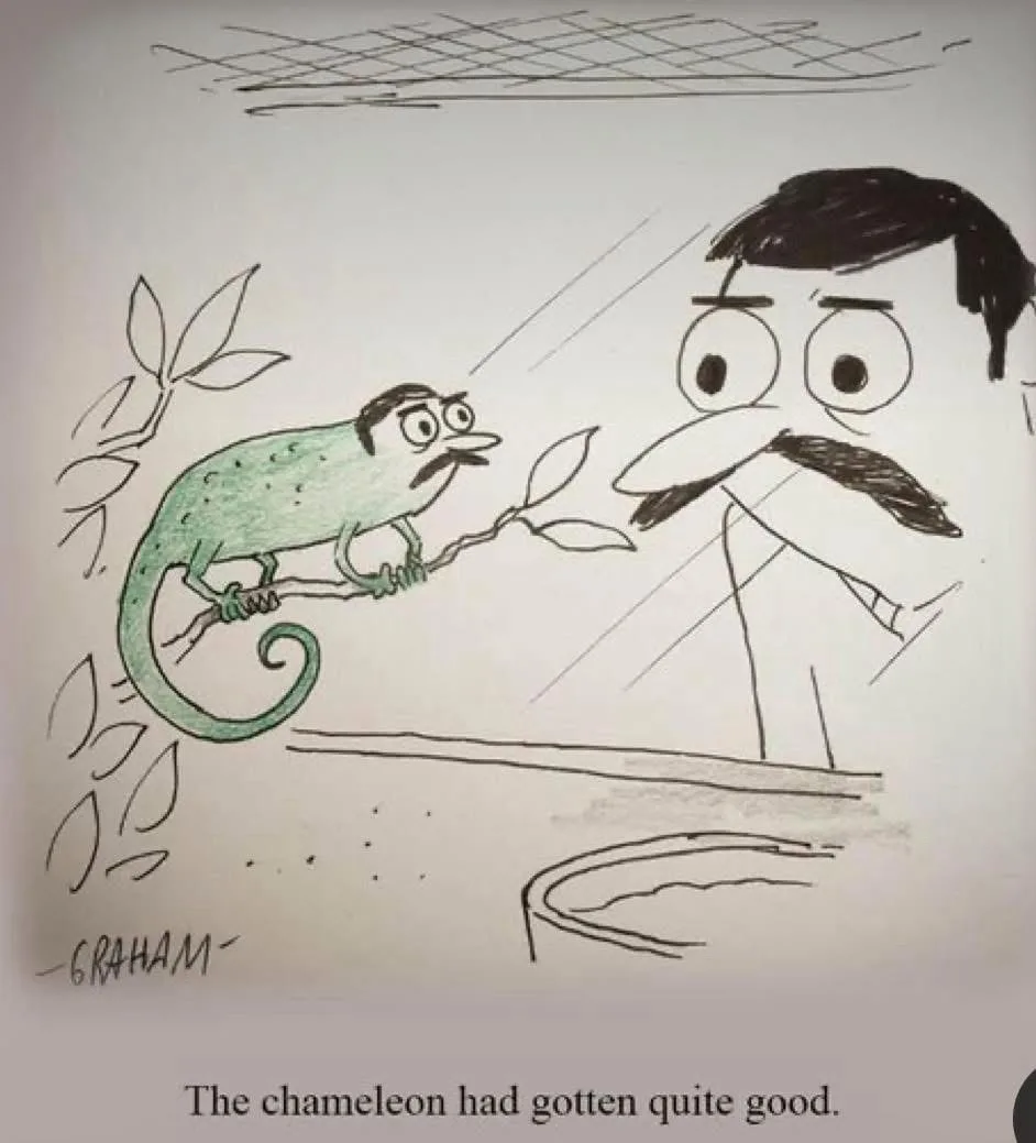 A hand-drawn cartoon shows a green chameleon with a mustache perched on a branch, looking up at a large man with a mustache…