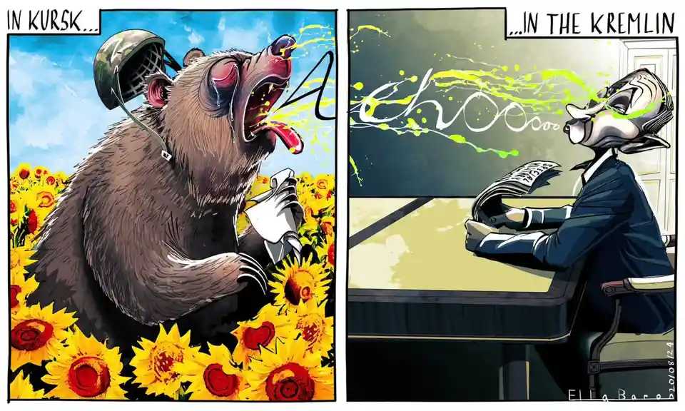 A two-panel cartoon shows a bear in a military helmet sneezing violently in a field of sunflowers, with the text 'IN…