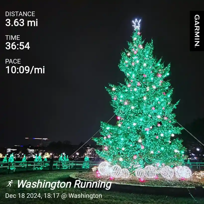 The Daily Jog: A Routine Like No Other