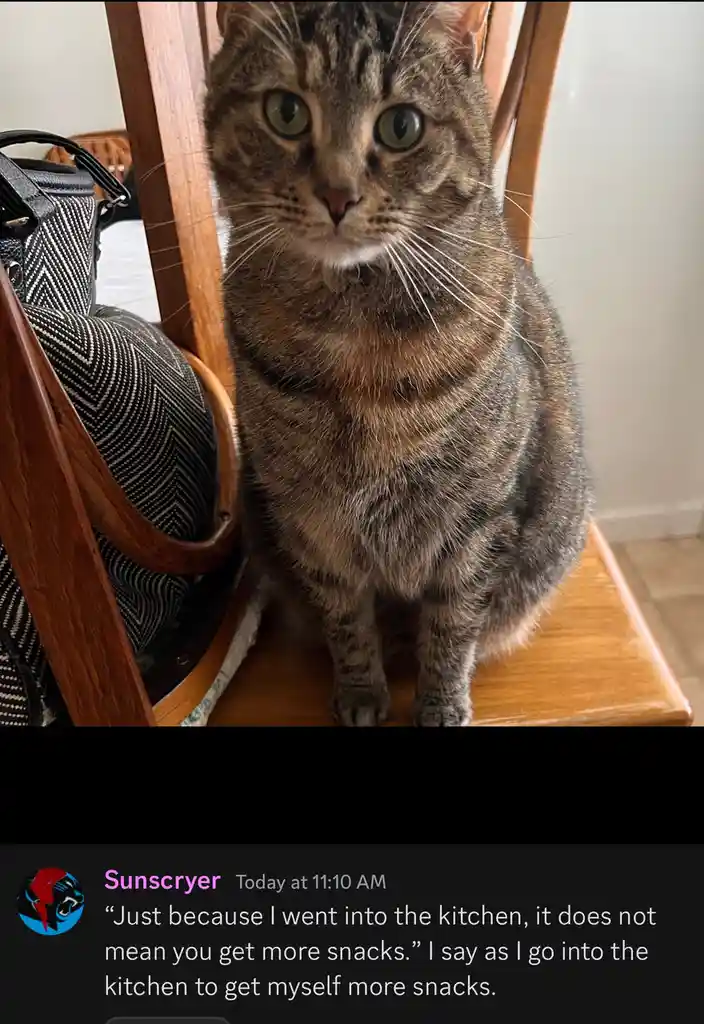 A tabby cat with green eyes sits upright on a wooden chair, looking directly at the camera with a serious expression. A…