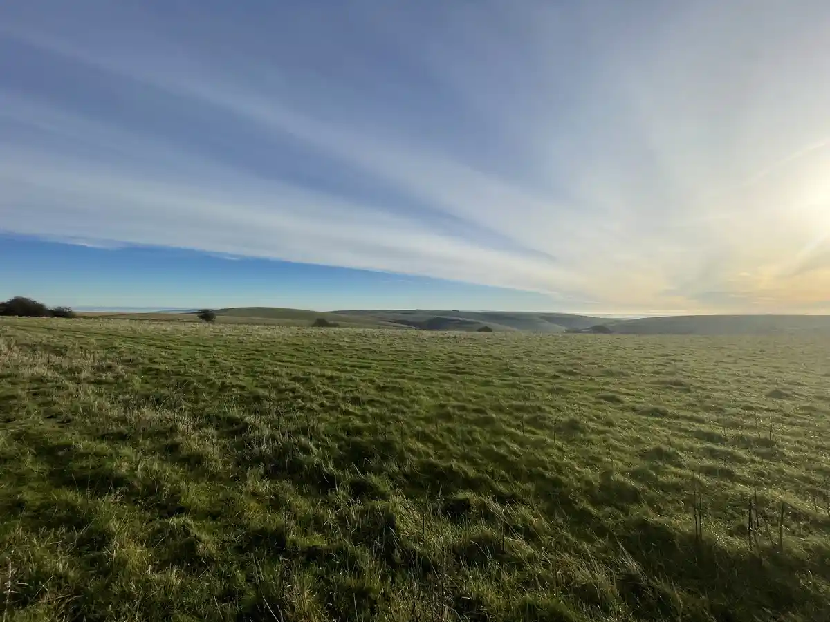 A wide, serene landscape photo of a grassy field under a blue sky with wispy clouds and the sun low on the horizon. The…