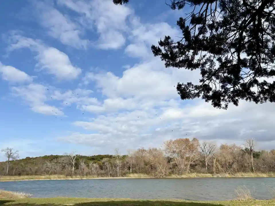 A scenic photo shows a calm lake bordered by grass and trees under a partly cloudy blue sky, with a flock of birds flying in…