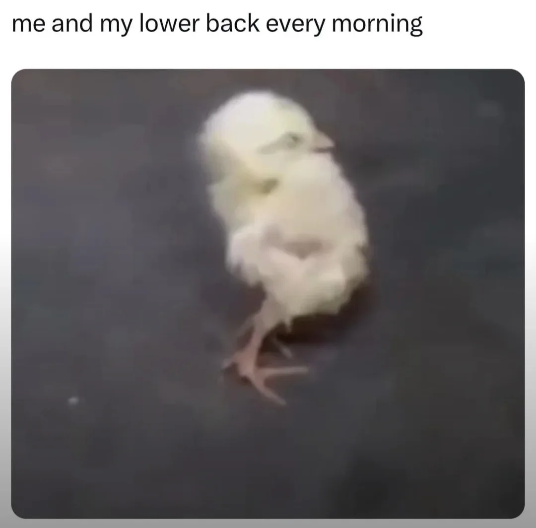 A blurry image of a small, fluffy yellow chick standing on a dark surface, captured in motion with slight motion blur. The…