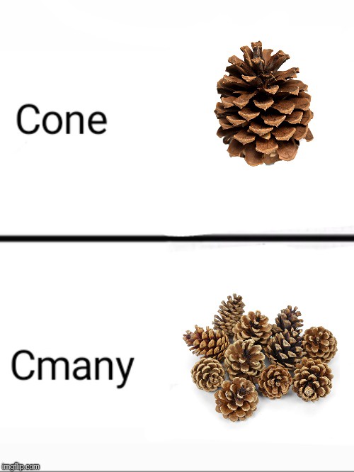The image displays a single brown pinecone labeled 'Cone' in the top half, and a pile of multiple pinecones labeled 'Cmany'…