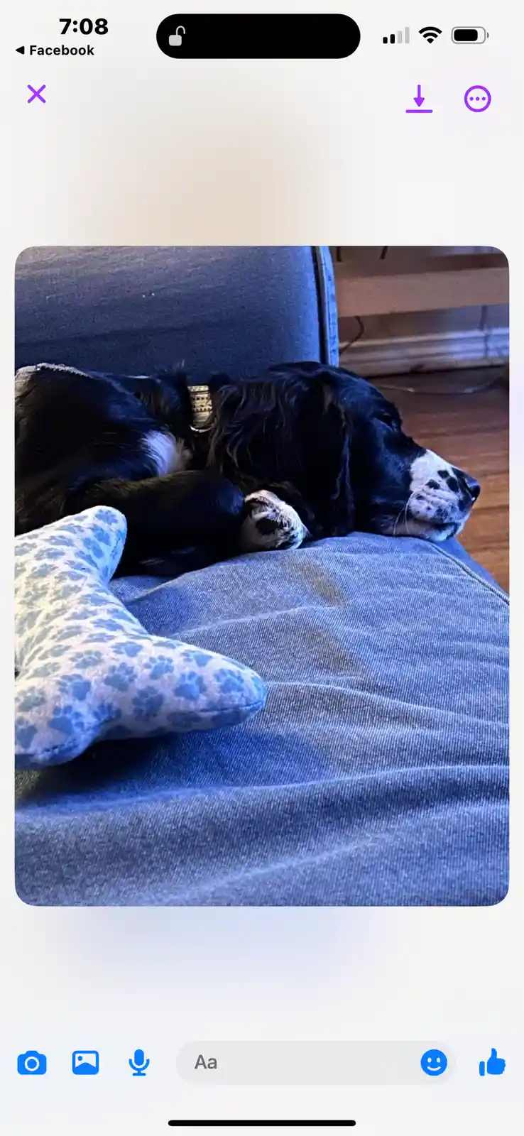 A black and white dog is sleeping peacefully on a blue couch next to a blue and white paw-print pillow. The image is viewed…
