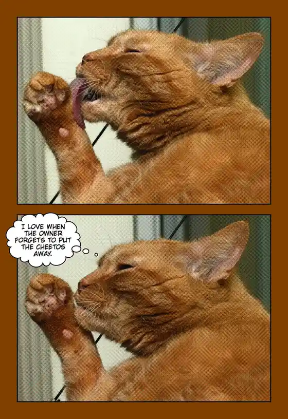 A two-panel meme featuring an orange tabby cat licking its own paw in both panels. In the bottom panel, a thought bubble…