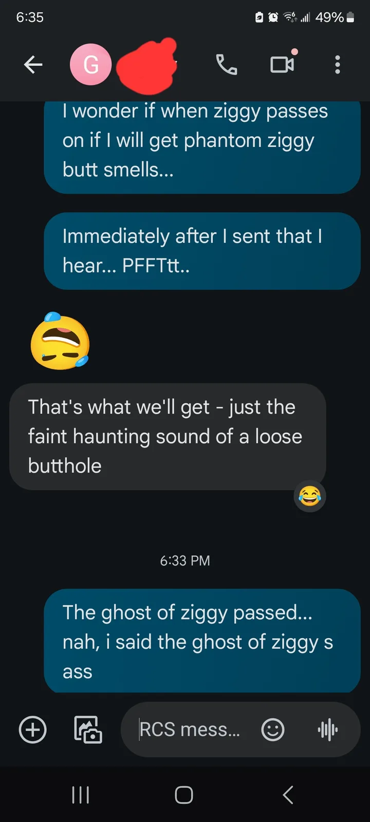 Chatting with my partner about my ancient dog Ziggy