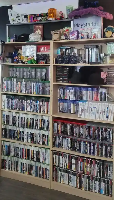 A large, well-organized shelving unit is filled with hundreds of video game cases, neatly arranged by console type. The top…