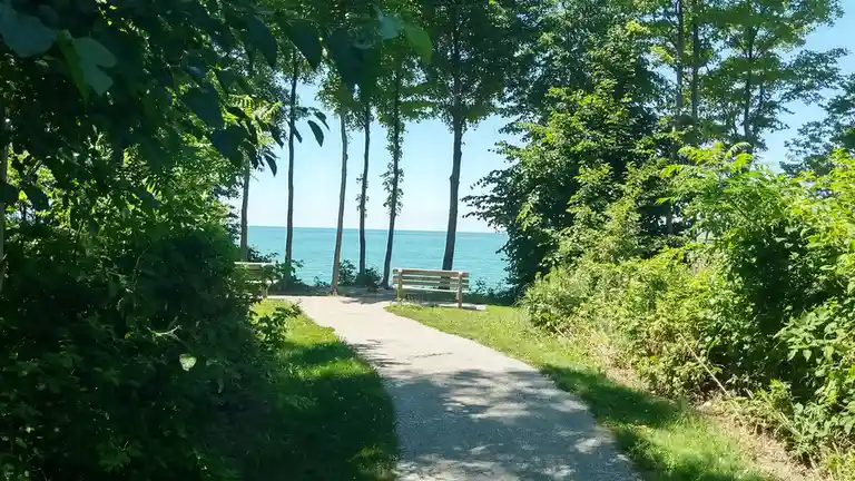 A Scenic Bench with a Stunning View