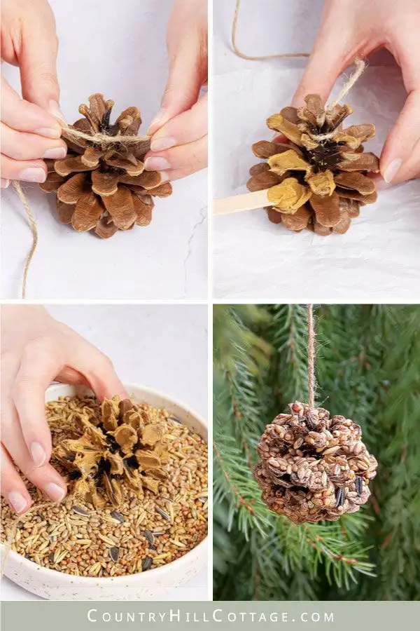 Crafting a Pine Cone Bird Feeder: Nature's Delight