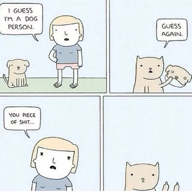 A four-panel comic strip shows a person declaring they're a 'dog person' while standing next to a dog. A cat then appears…