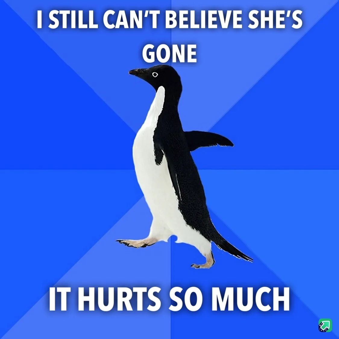 A black-and-white penguin stands against a blue geometric background, looking sad. The text above reads 'I STILL CAN'T…