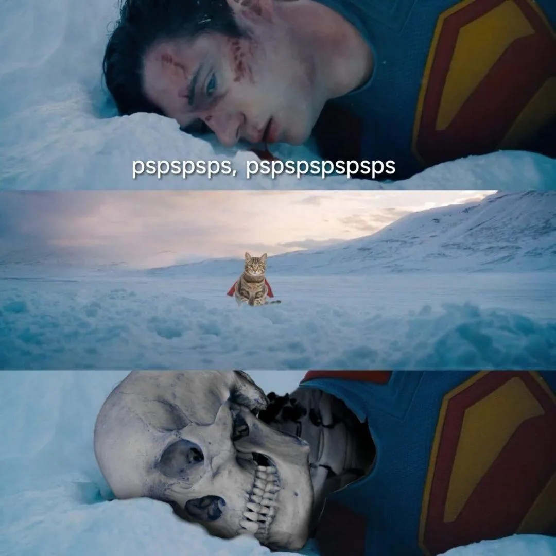 The image is a three-panel meme. The top panel shows a wounded Superman lying in snow with text 'pspspsps, pspspspspsps'…