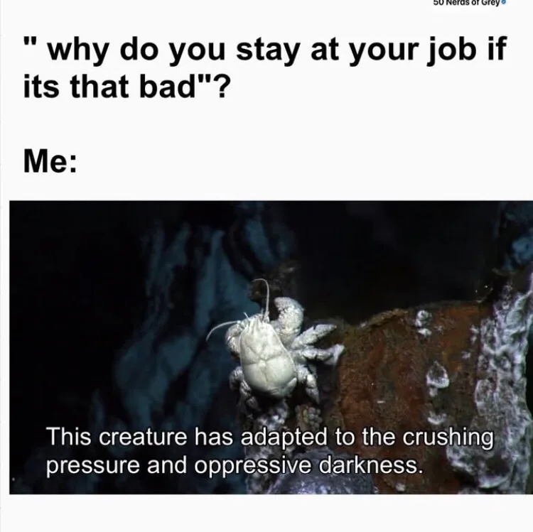 The image shows a white, crustacean-like creature clinging to a dark, rocky surface in a deep-sea environment. The top text…