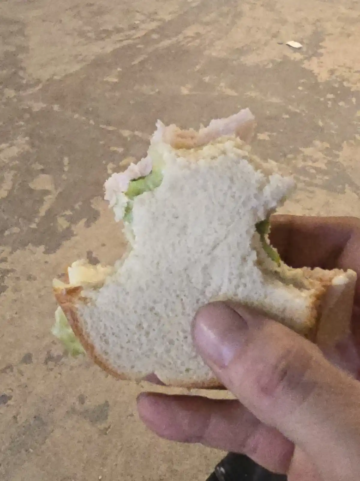 A hand holds a partially eaten sandwich with visible bread, lettuce, and meat, against a worn, mottled brown surface. The…