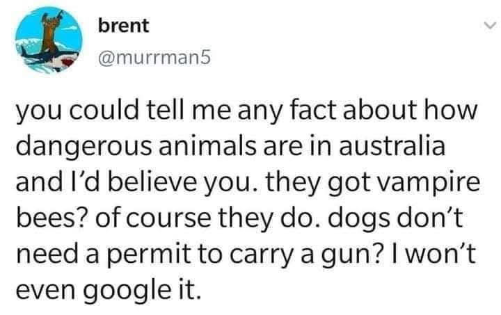A screenshot of a tweet from user 'brent' (@murrman5) with a profile picture of a kangaroo. The tweet humorously states that…