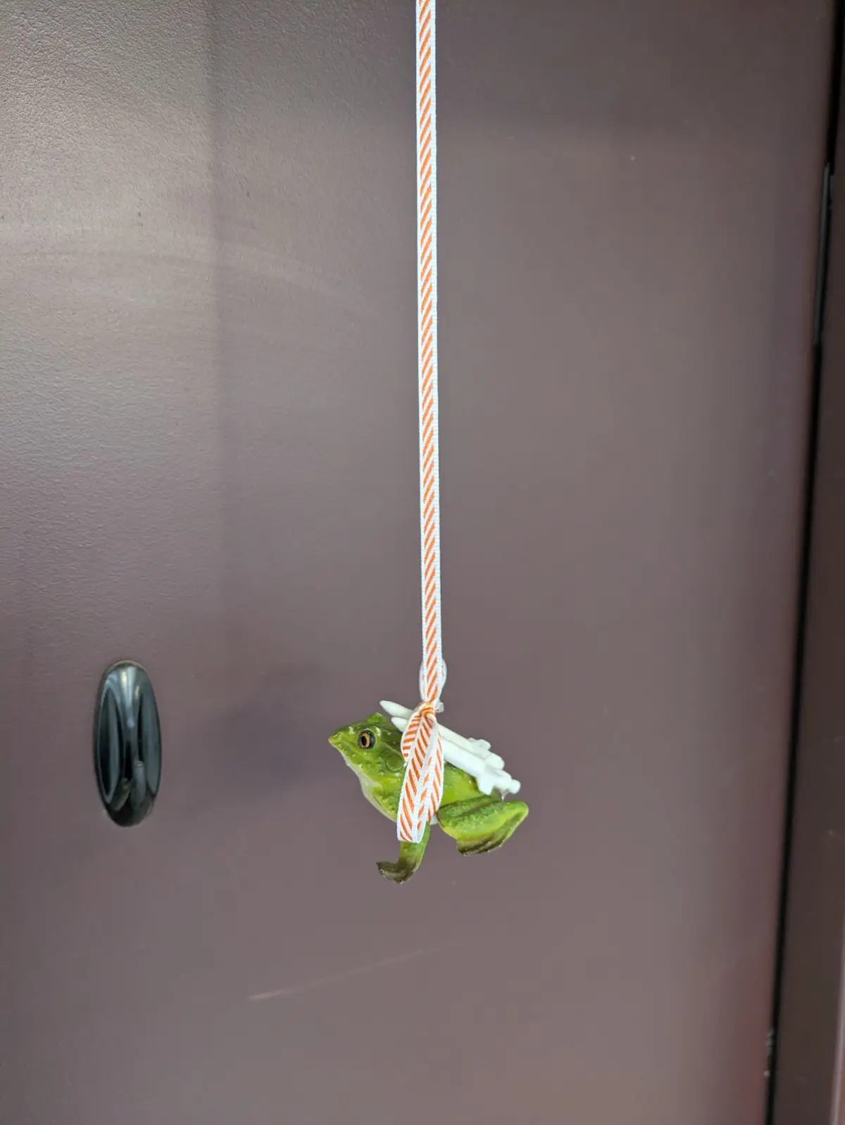A small green frog figurine is hanging from a white and orange striped rope tied around its body, suspended in front of a…