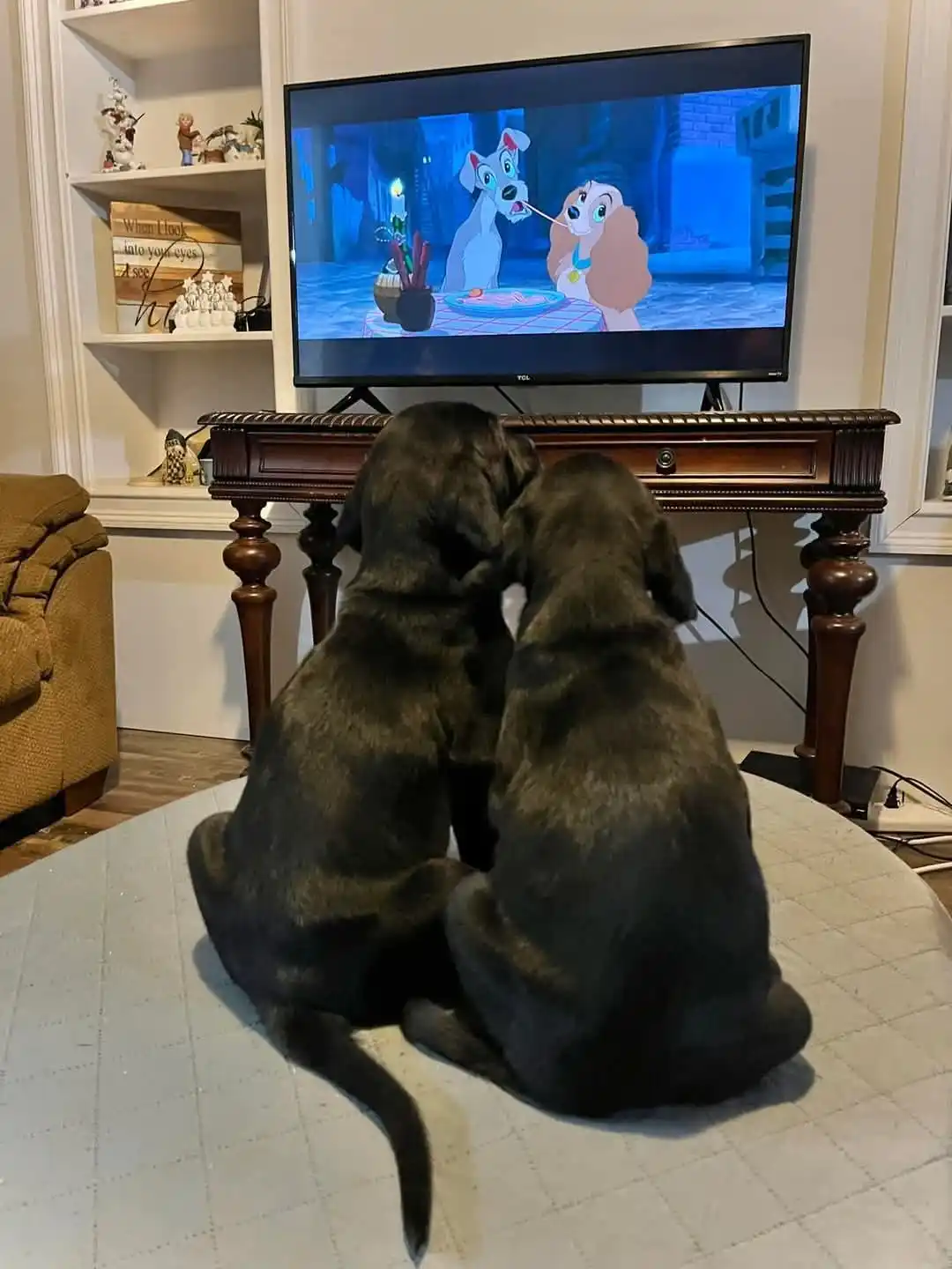 Couple Goals: The Ultimate Relationship Inspiration