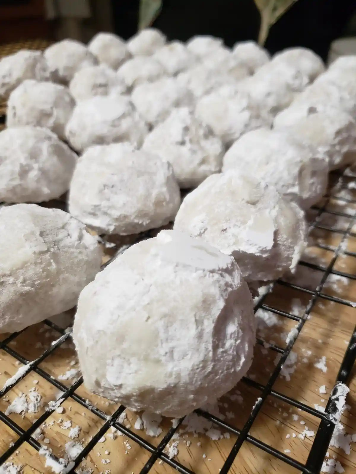 Let the Snowball Battle Begin!