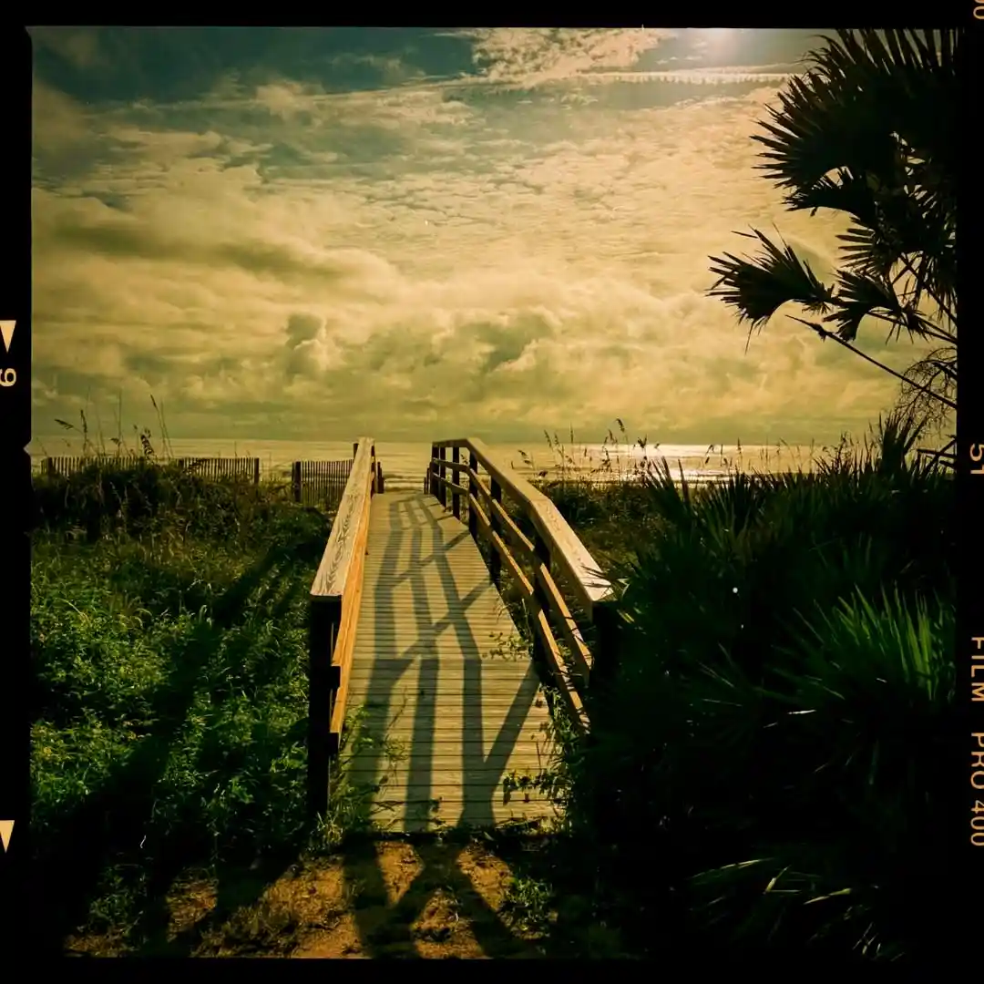 A wooden boardwalk leads toward the ocean under a cloudy, golden-hued sky, flanked by green vegetation and palm fronds. The…