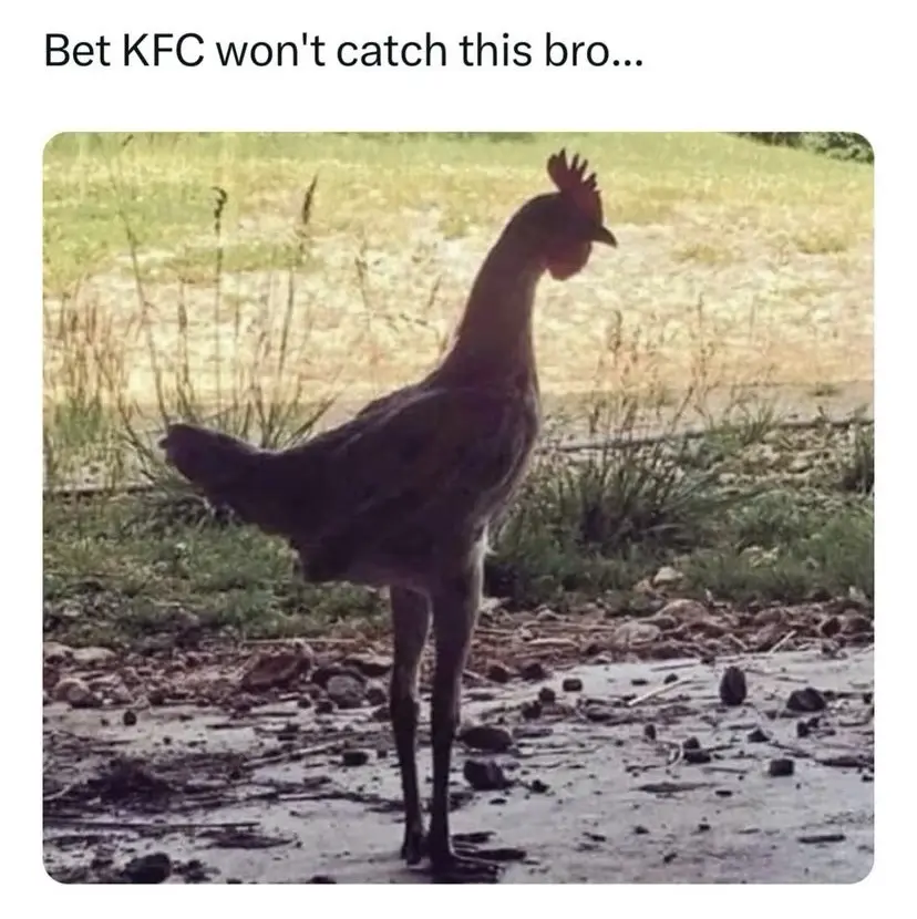 A rooster stands on one leg in a muddy, grassy outdoor area, looking away from the camera. The overlaid text reads 'Bet KFC…