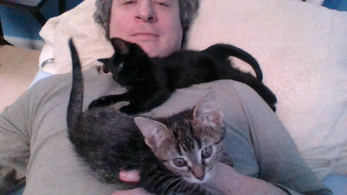 A person lies in bed with two kittens; one black kitten rests on their chest while a tabby kitten is held in their arms…