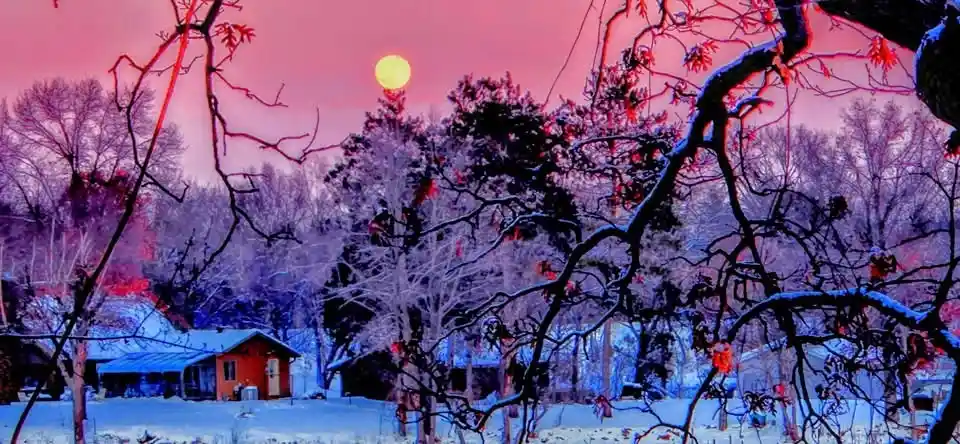 A snowy winter scene with bare trees and a house under a pink and purple sky, featuring a large yellow moon. The image has a…