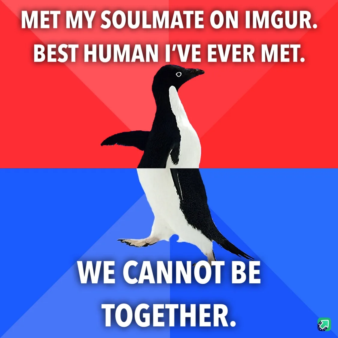 A penguin stands centered against a red and blue background, with white text overlaid in two sections. The top text reads…