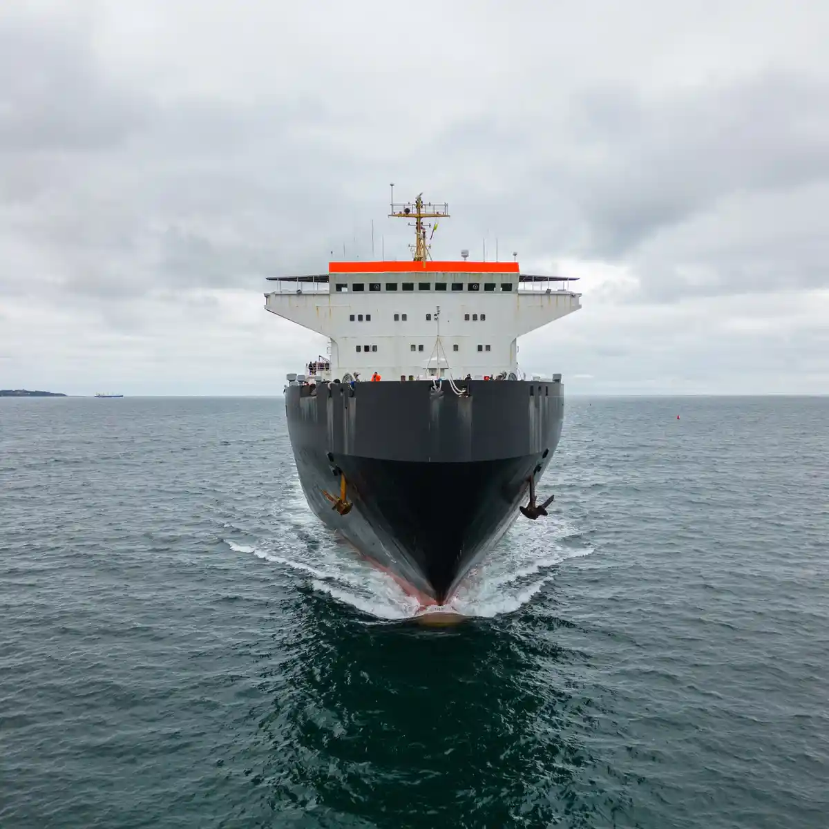 All Aboard the Ferry Boat Adventure!