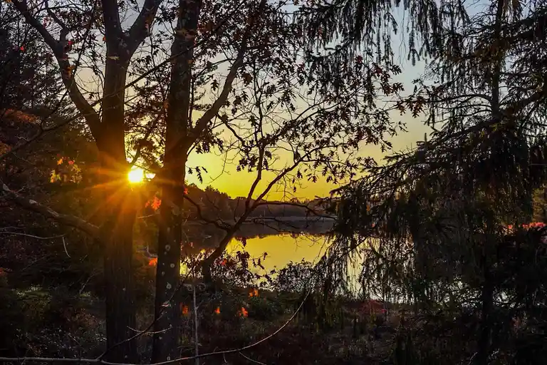 A Beautiful Sunrise to Start the Day