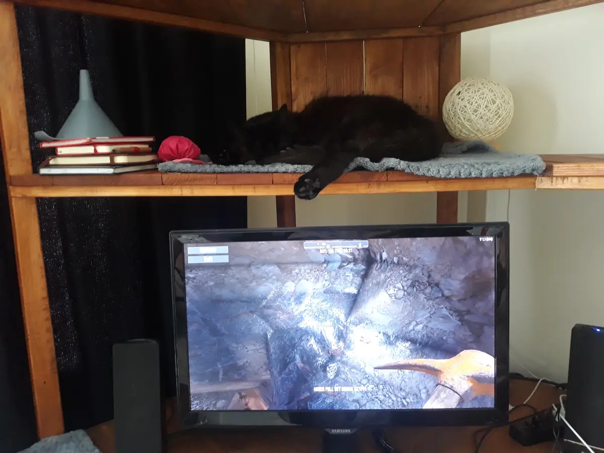 Claiming My Territory: This Shelf is Now Mine!