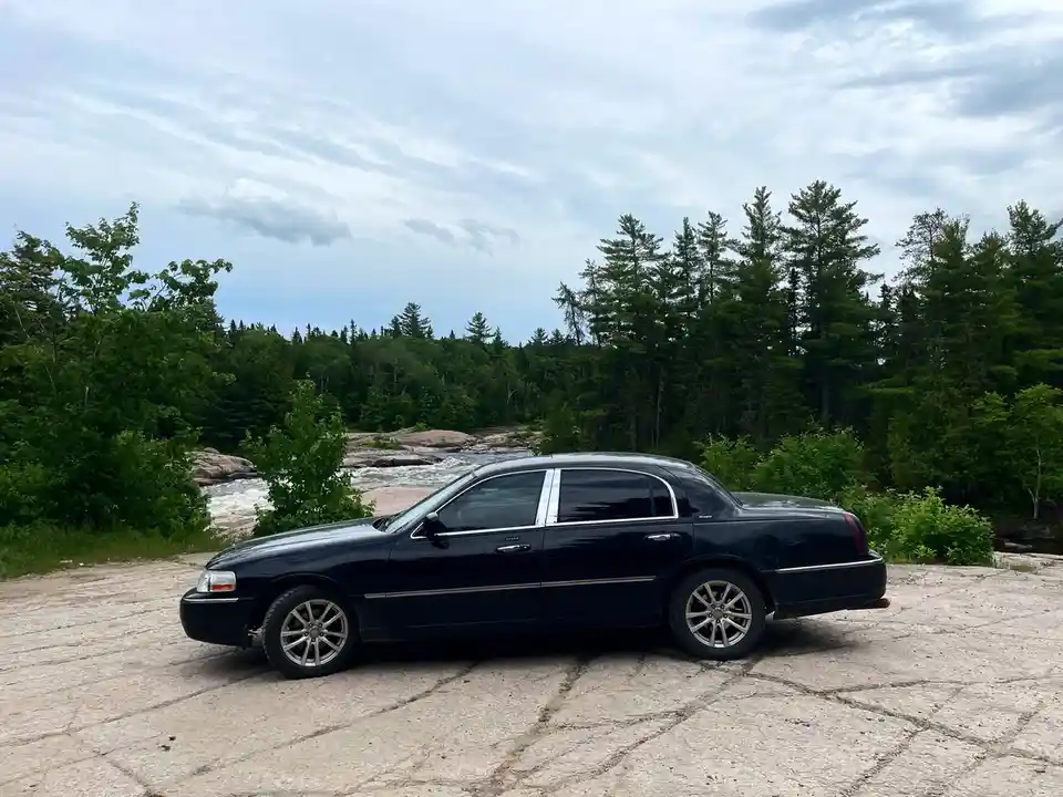 Did Someone Just Mention Car Meat?