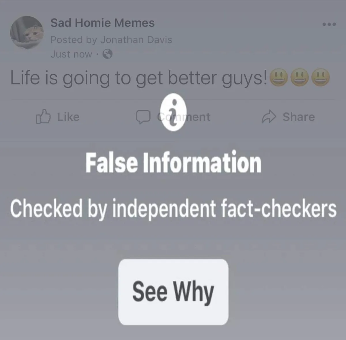 A screenshot of a Facebook post from 'Sad Homie Memes' that reads 'Life is going to get better guys!' with three smiley…