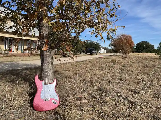A pink speckled electric guitar is leaning against a tree in a dry, grassy yard with a house and truck visible in the…